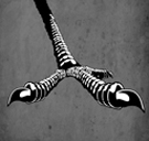 BIRD FOOT (ILLUSTRATION BY-PRODUCT)