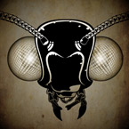 BUG HEAD
