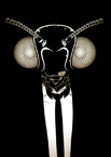 BUG HEAD (SUITED)