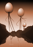 EGG CREATURES