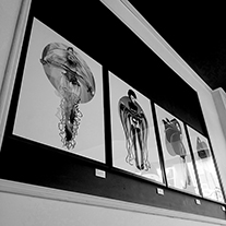 VAMPYROMORPHS EXHIBITION
